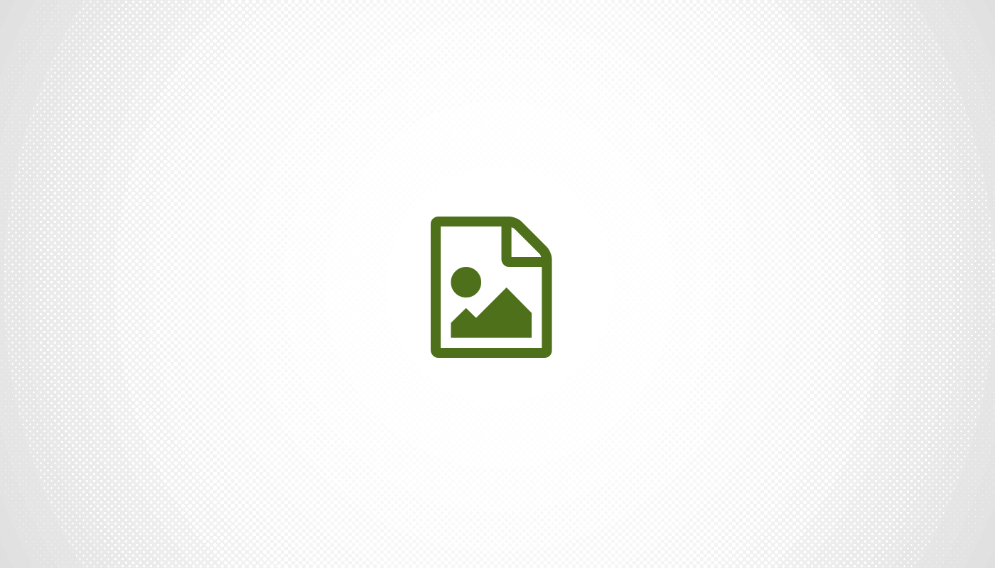 Comment intégrer les insectes séchés dans l'alimentation de vos animaux domestiques ?